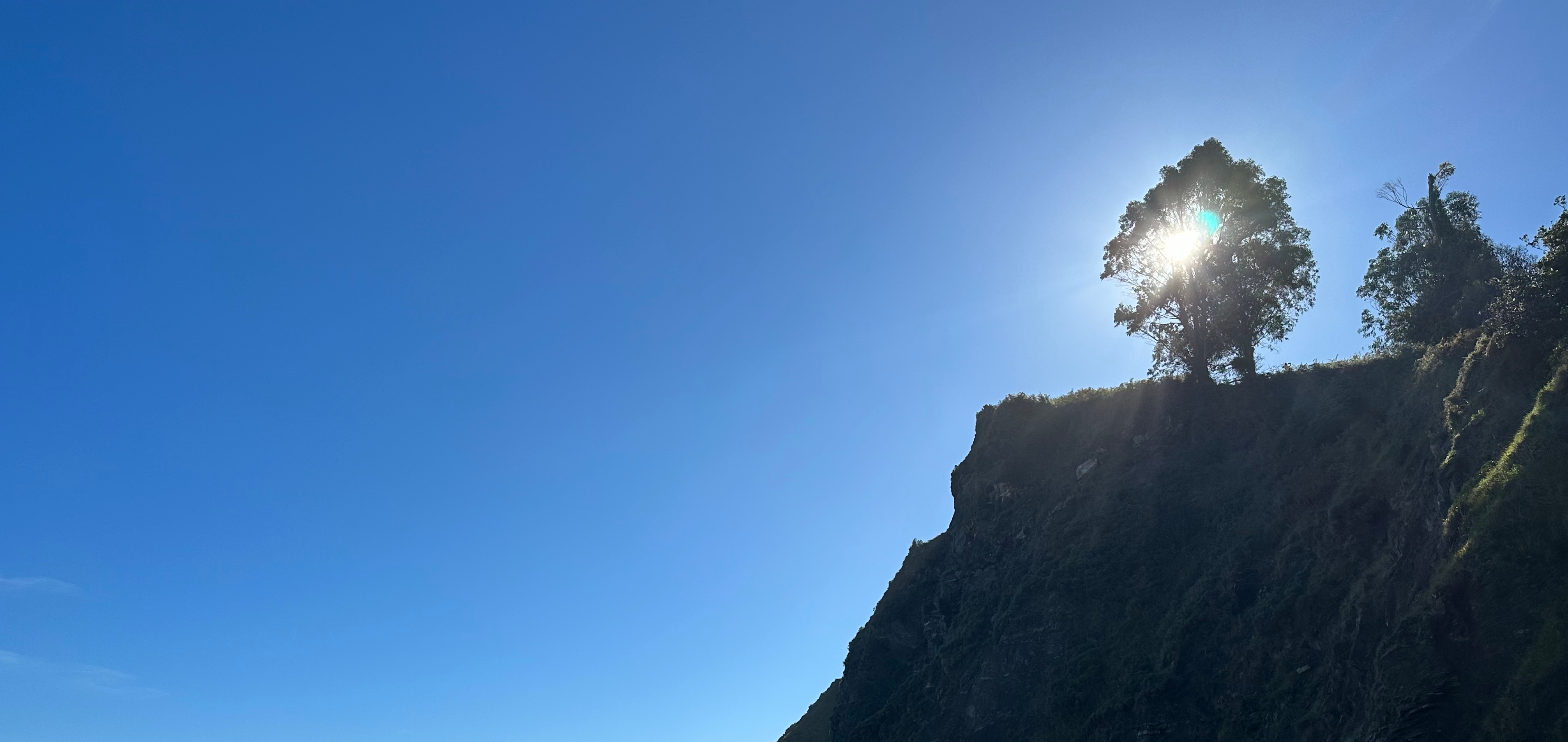 the gap   -   the vision