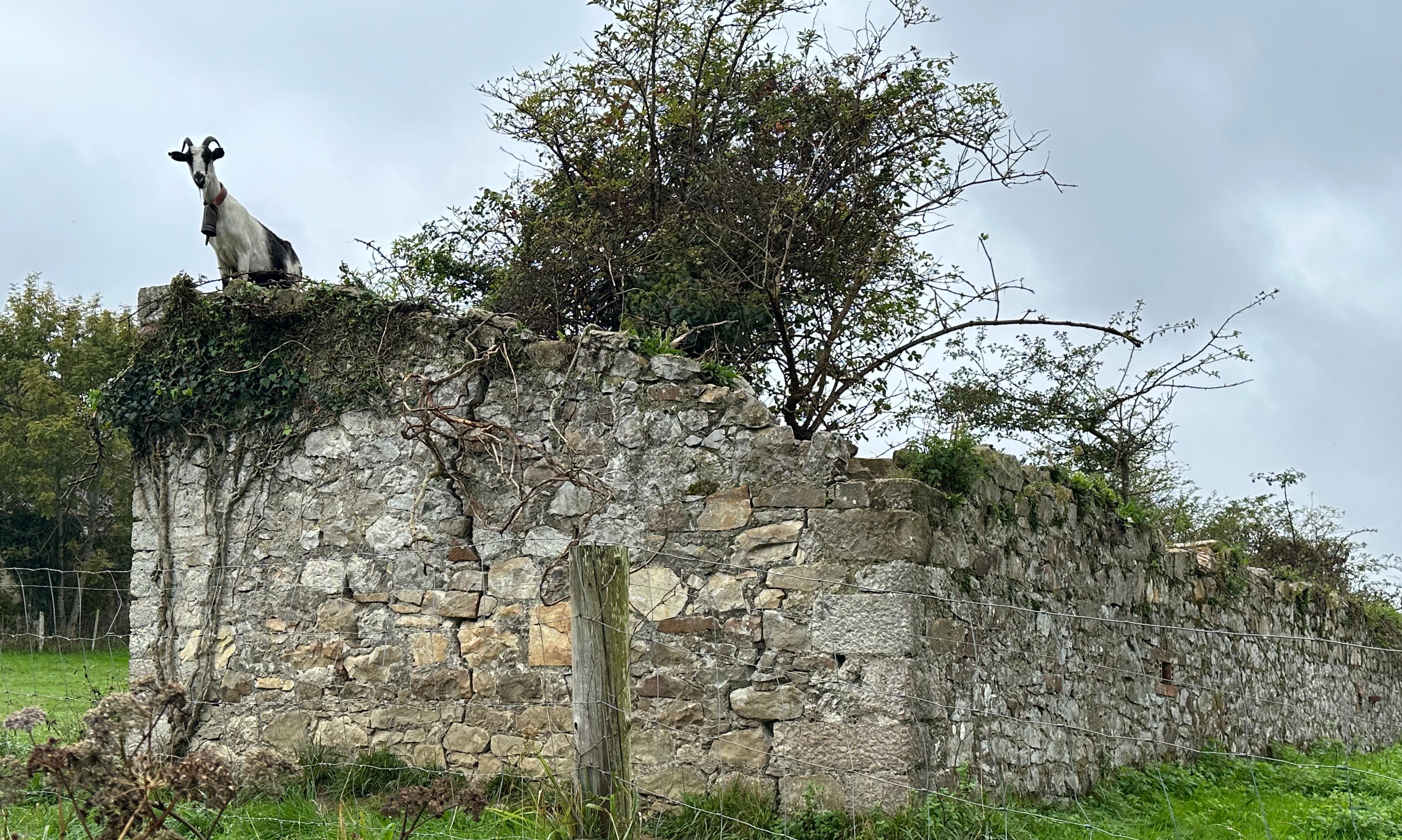 structures and solutions