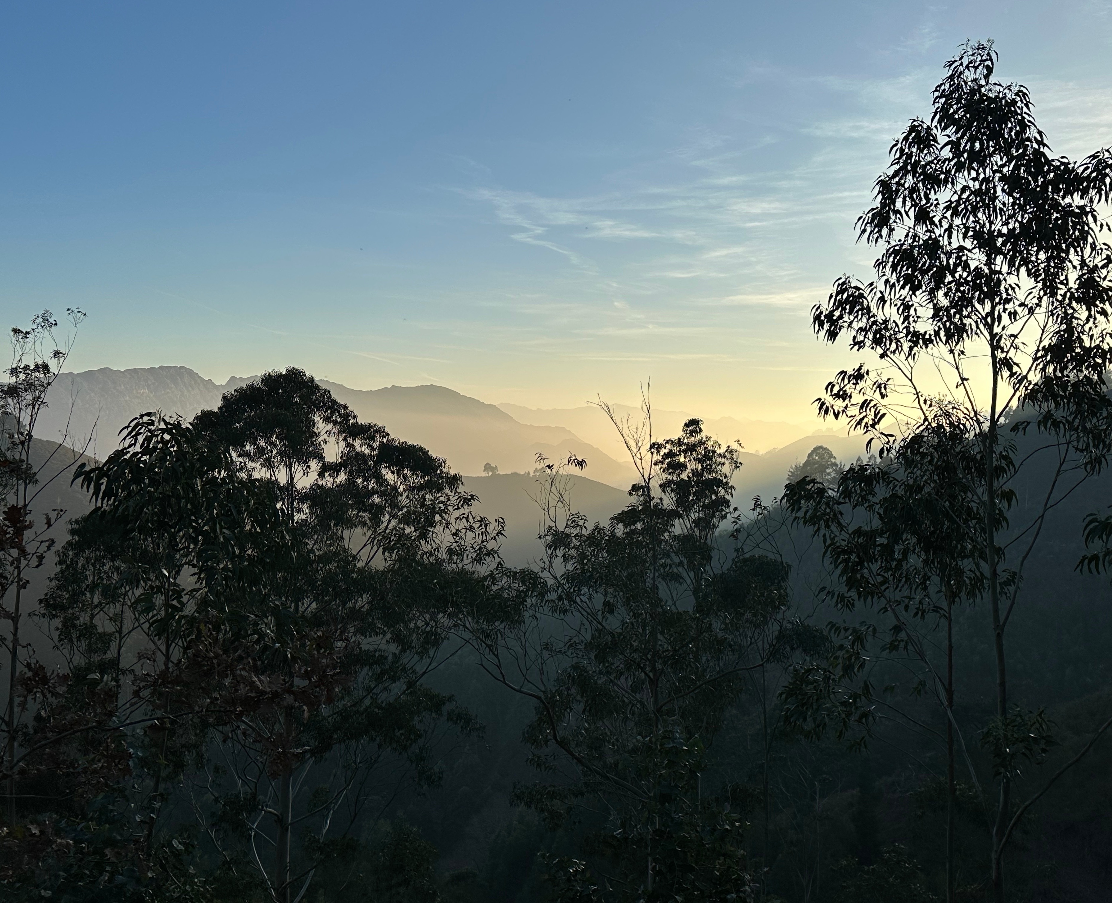 qualification and experience