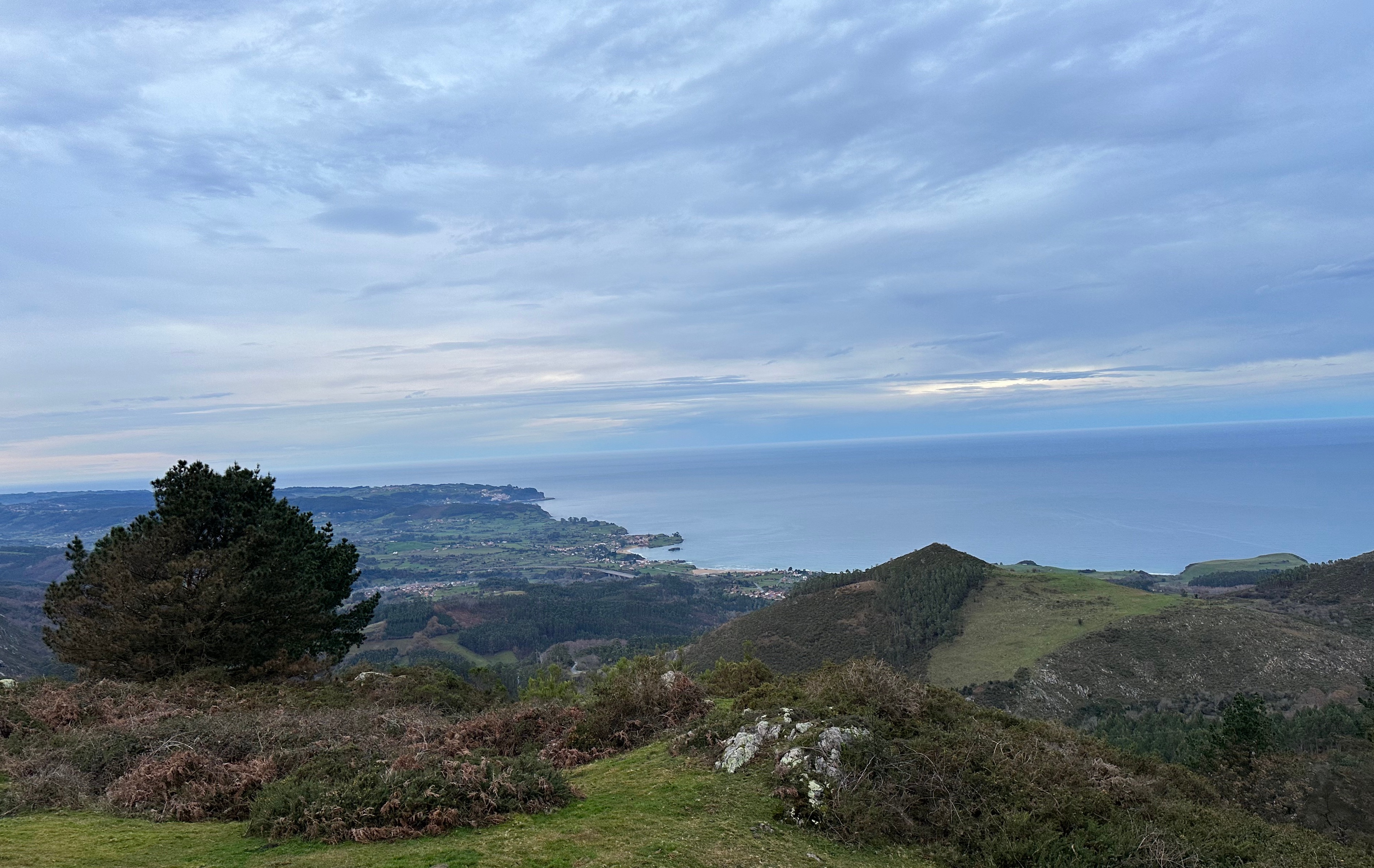 marketing and benefits